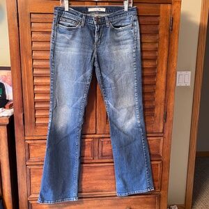 Joe's Jeans Joplin Jeans Dark Blue